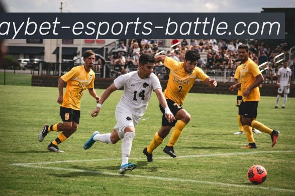 雷竞技APP 体育赛事宣传图